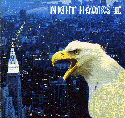 NIGHT HAWKS II