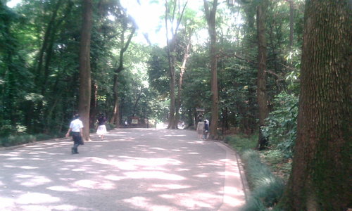 20100625125006.jpg